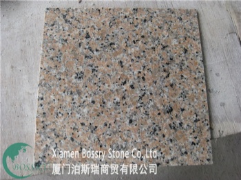 Huidong Multi Red G411 Granite Tiles