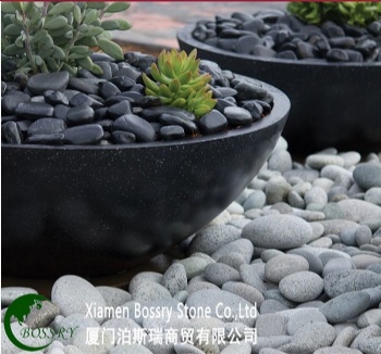 Black River Pebble for Garden Decoration