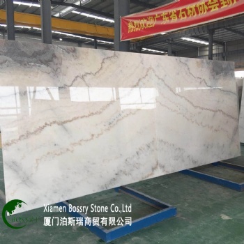  China Poplular New Carrara Marble Slab and Tile	